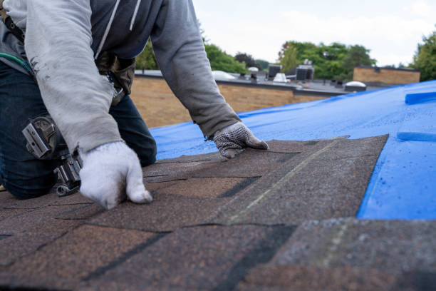Best Sealant for Roof  in New Hope, MS